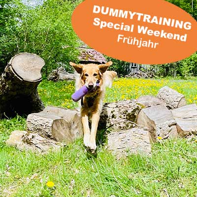 dummytraining weekend